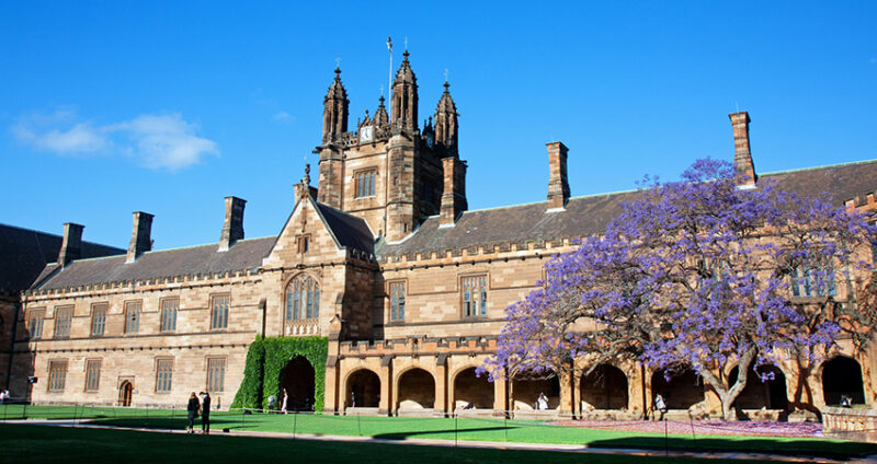 Changing nature of the campus – Sydney Business Insights (SBI)