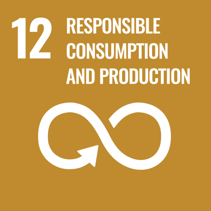 Sustainable Development Goal 12: Responsible Consumption And Production