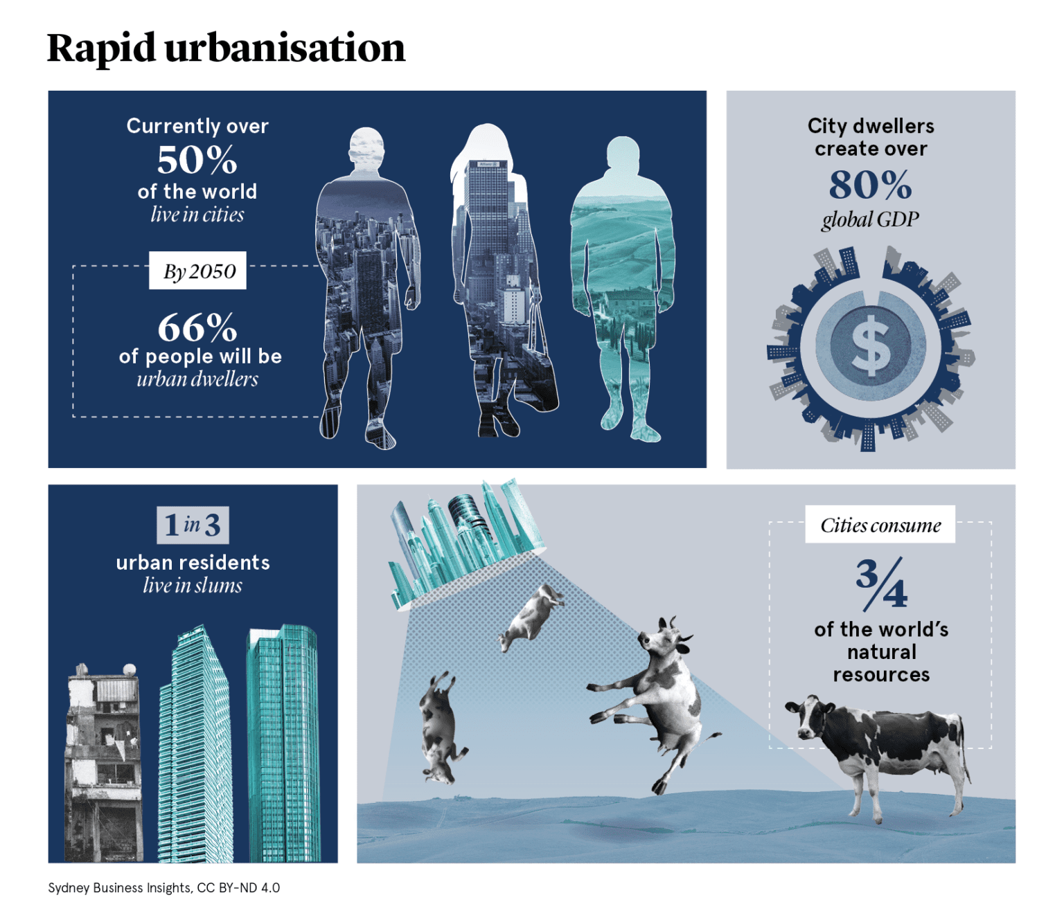 Rapid urbanisation – Sydney Business Insights (SBI)