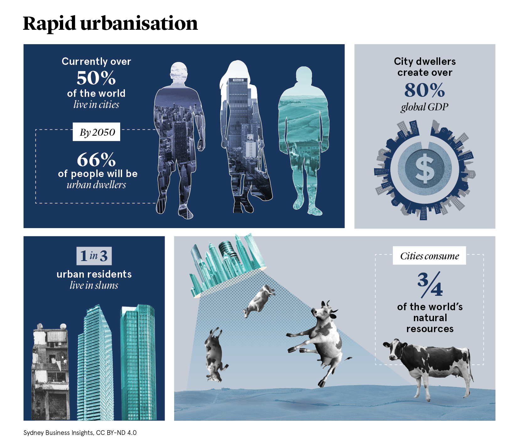 Rapid urbanisation – Sydney Business Insights (SBI)