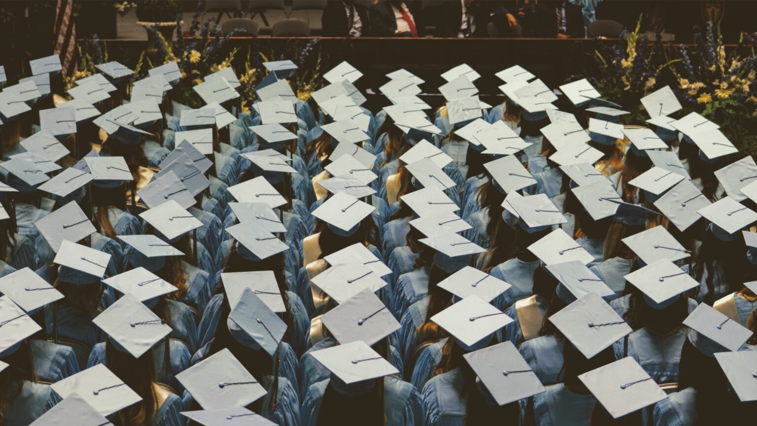 Students Know AI Is Here To Stay And Want Unis To Teach Them How To Use