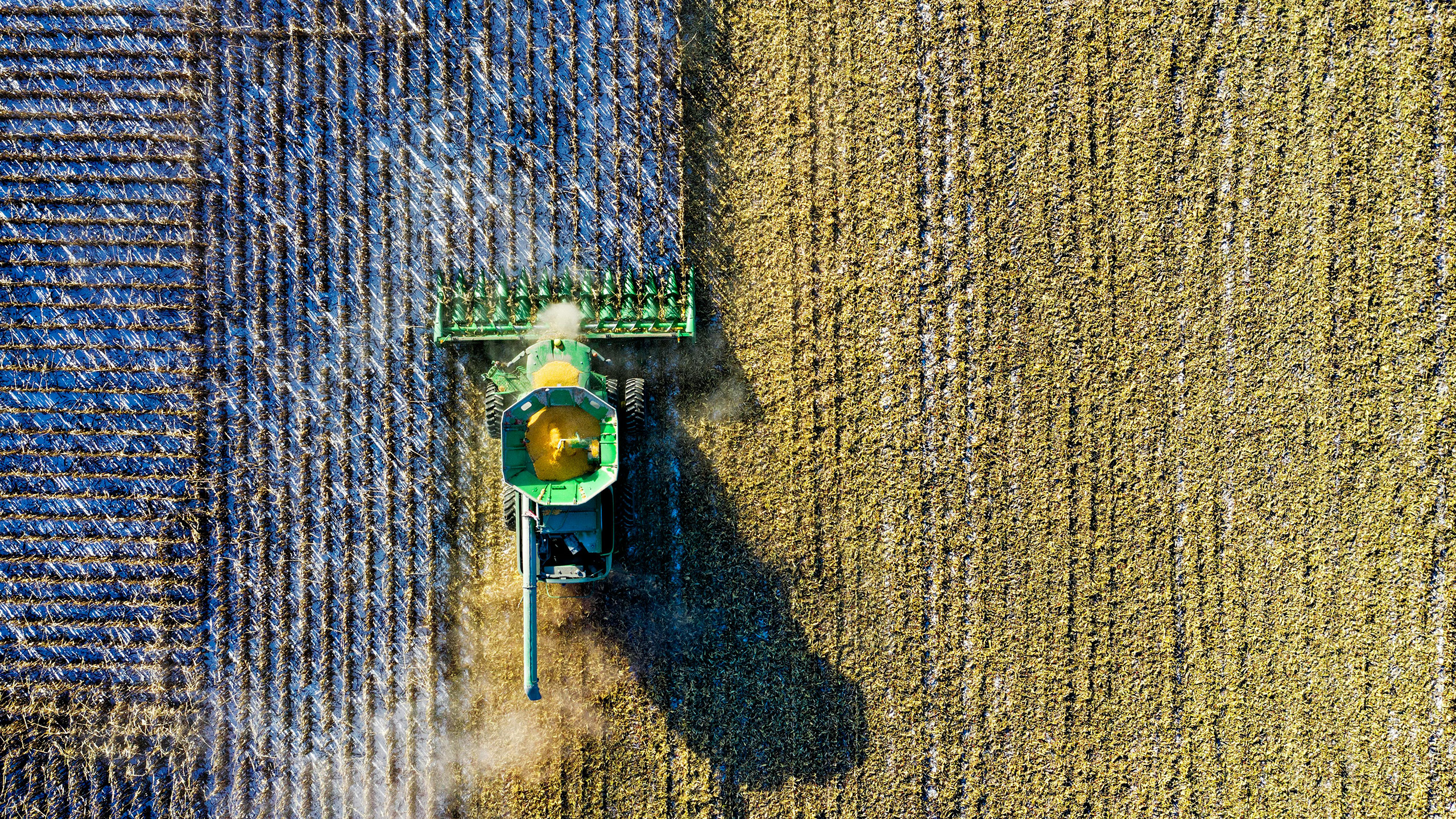 Aerial shot of farming